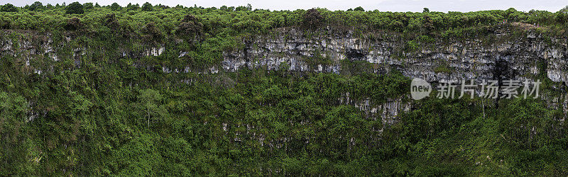 Los Genelos, Pit crater, Highlands;圣克鲁斯岛;不知疲倦的岛;加拉帕戈斯群岛国家公园，加拉帕戈斯群岛;厄瓜多尔